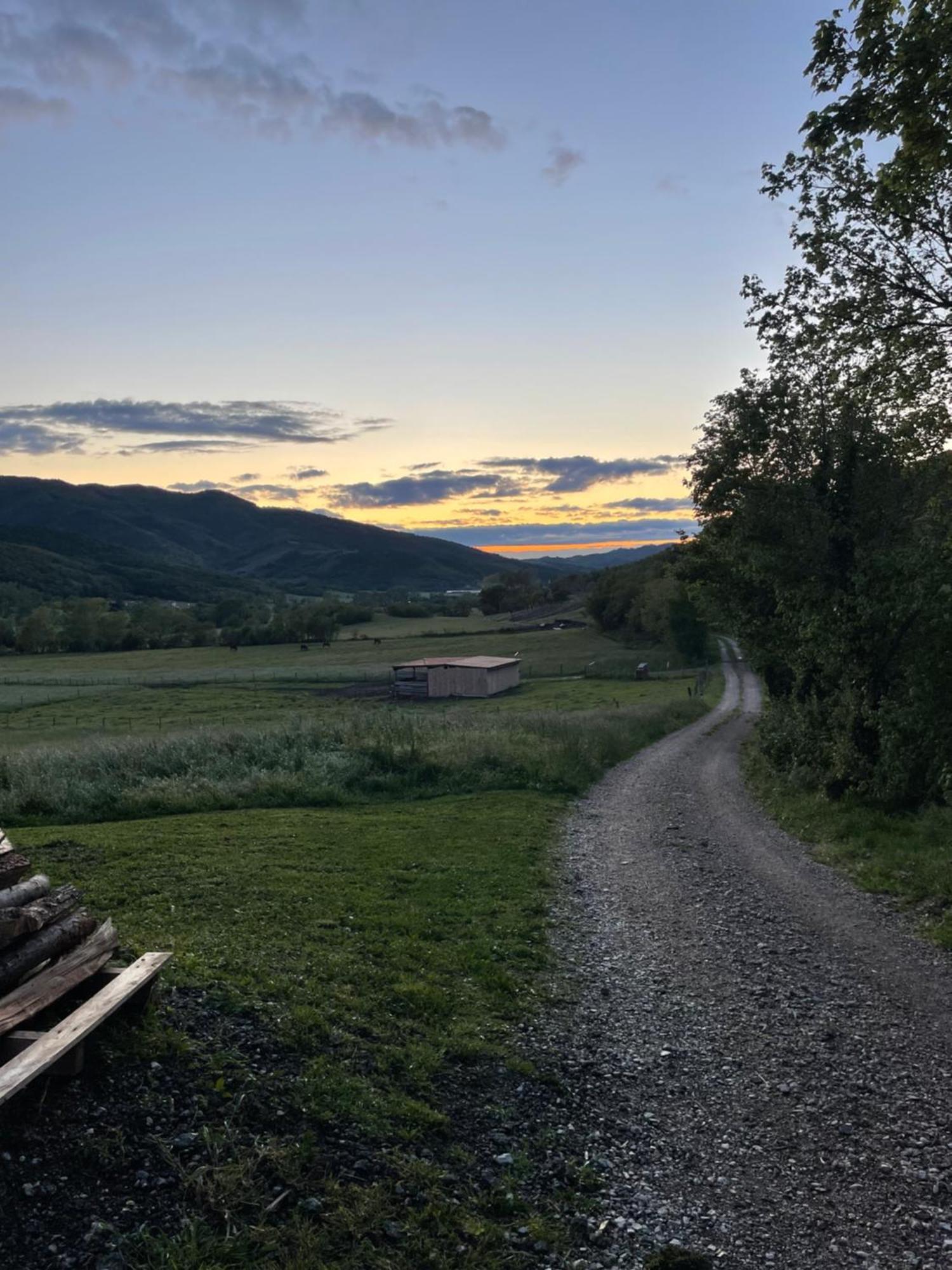 Homestead - Domacija - Nabergoj Podnanos Екстер'єр фото