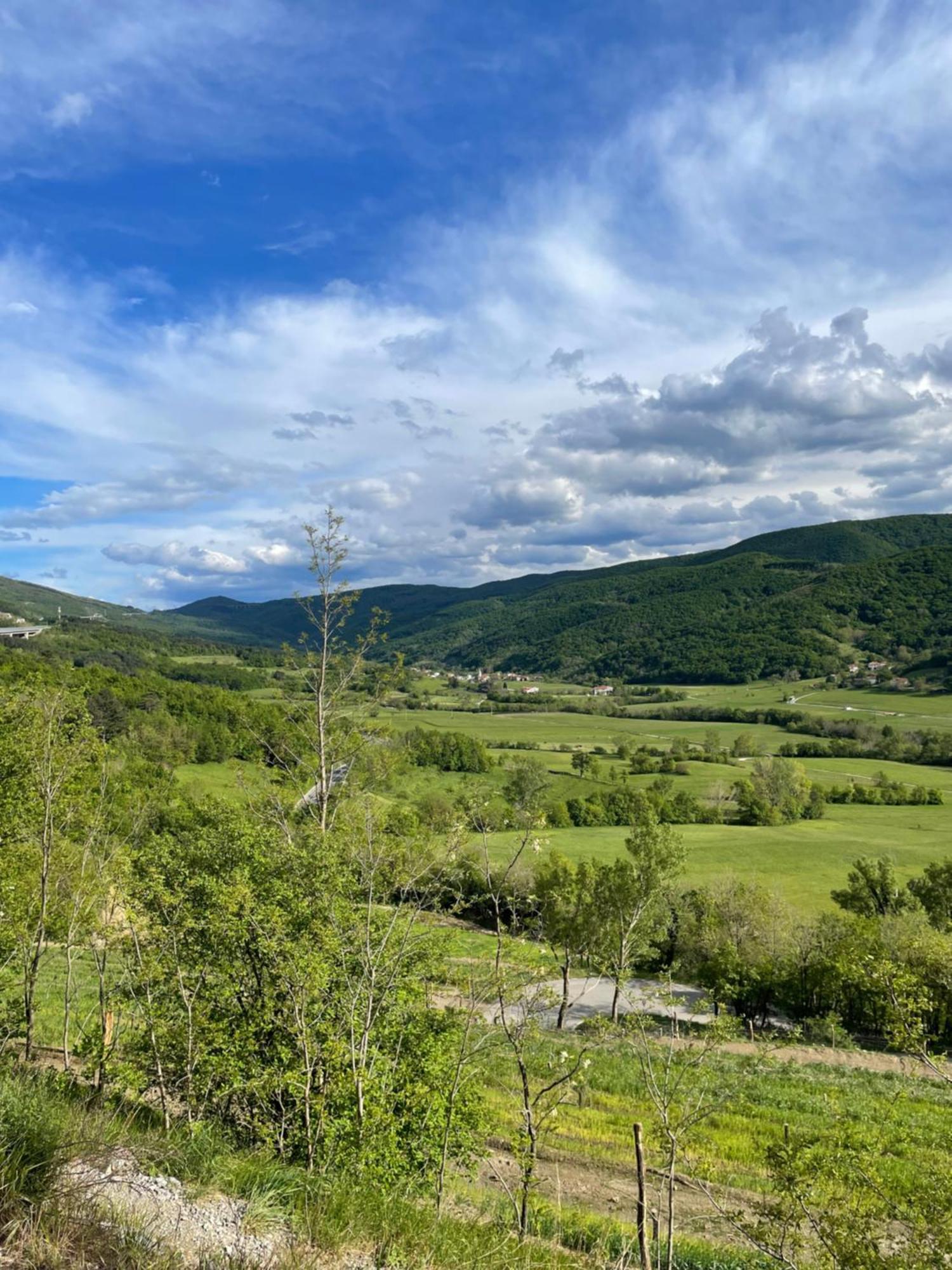 Homestead - Domacija - Nabergoj Podnanos Екстер'єр фото